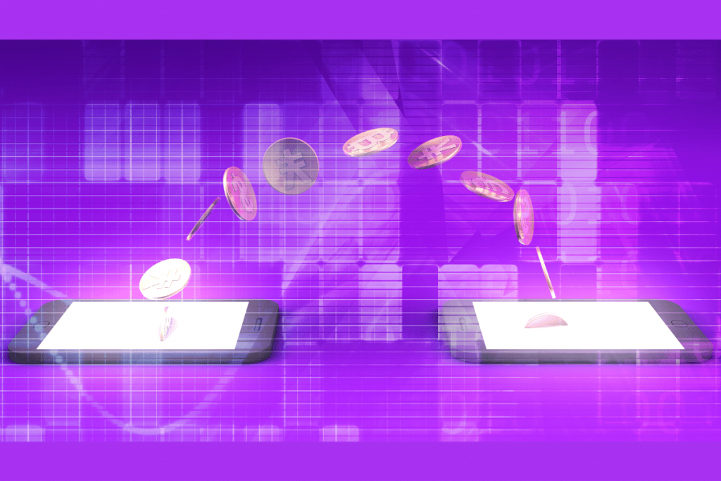 Enterprise Wallets Enterprise Wallets